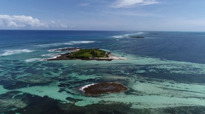 Blue Carbon Study - Seychelles