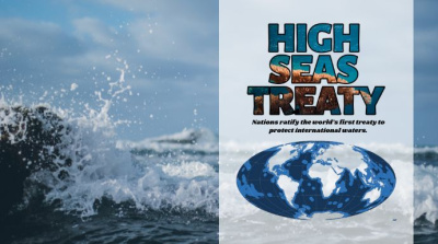 74 Countries Have Now Ratified a Landmark Treaty to Protect the High Seas