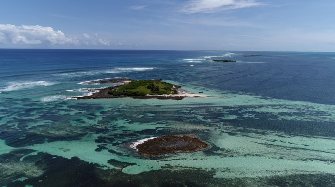 Blue Carbon Study - Seychelles